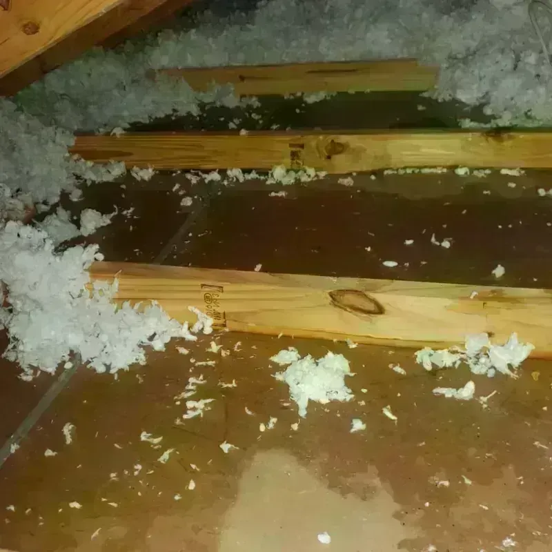 Attic Water Damage in Mount Olive, IL