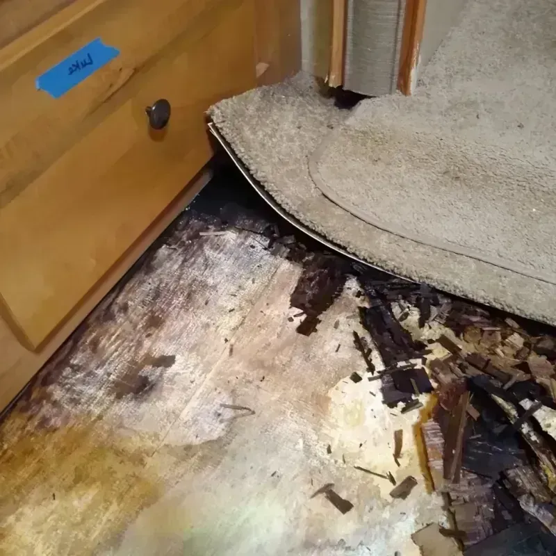 Wood Floor Water Damage in Mount Olive, IL